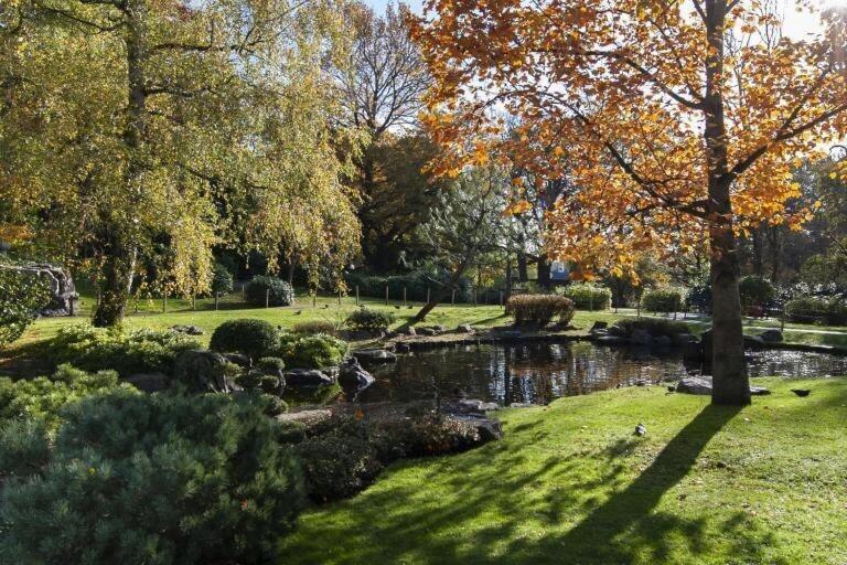 1-Bed Apartment, Close To Kensington Olympia With Free Wi-Fi & Netflix Londra Exterior foto